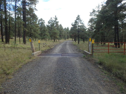 GDMBR: Classic National Forest section fence and cattle guard.